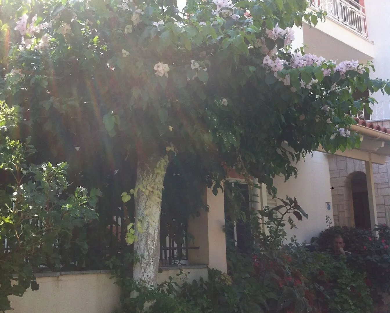 Bianca Villa Skala  0*, Skala (Kefalonia) Greece