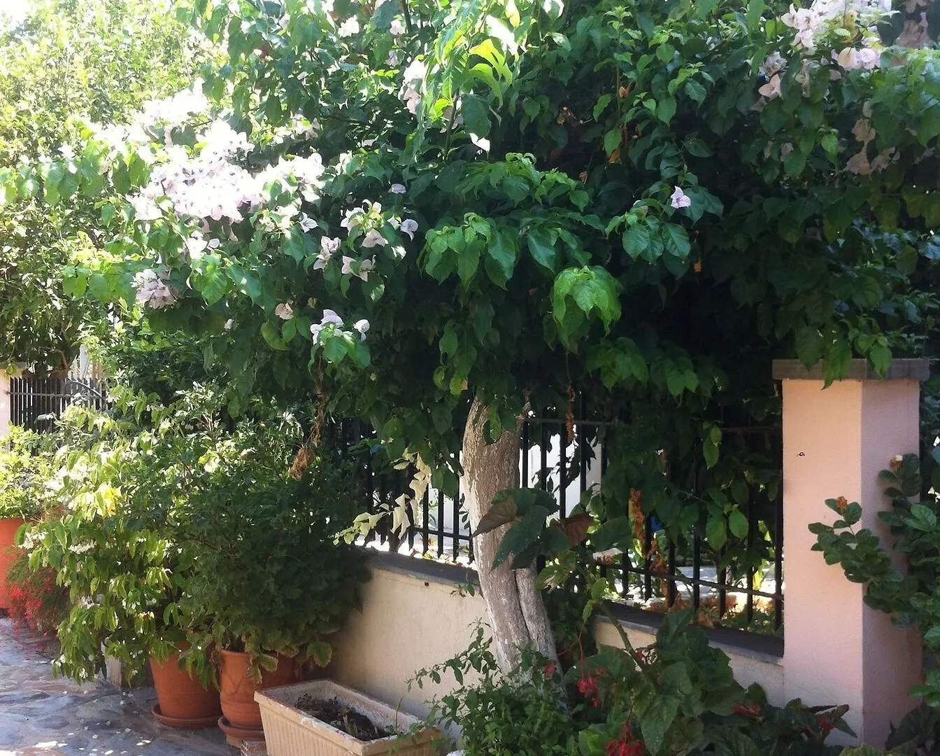 Bianca Villa Skala  Apartment Skala (Kefalonia)